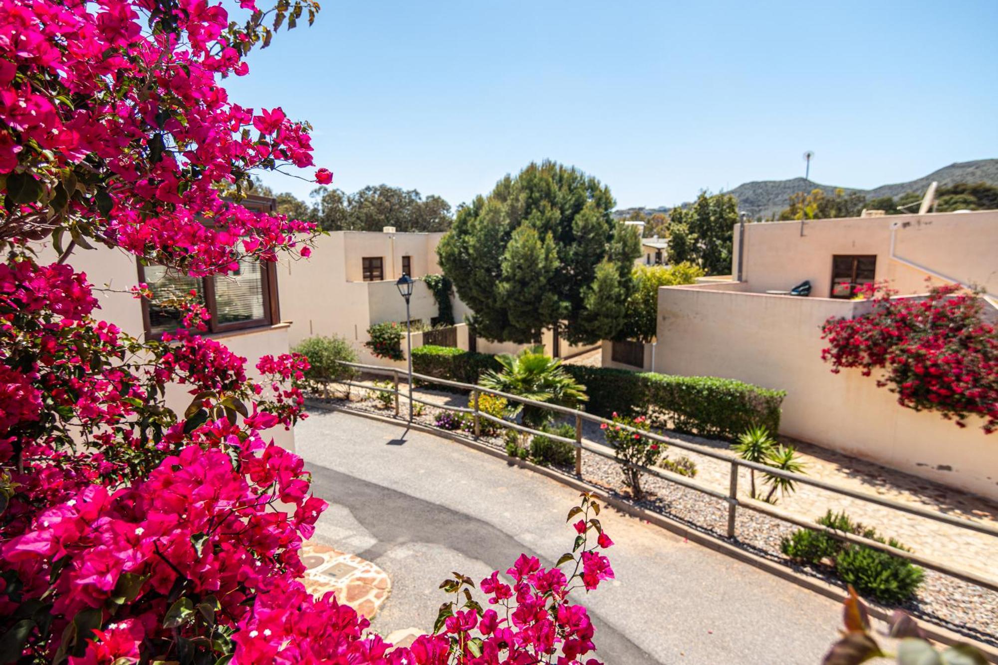 El Velero Sotillo La Jarana Piscina Parking Wifi San Jose  Εξωτερικό φωτογραφία